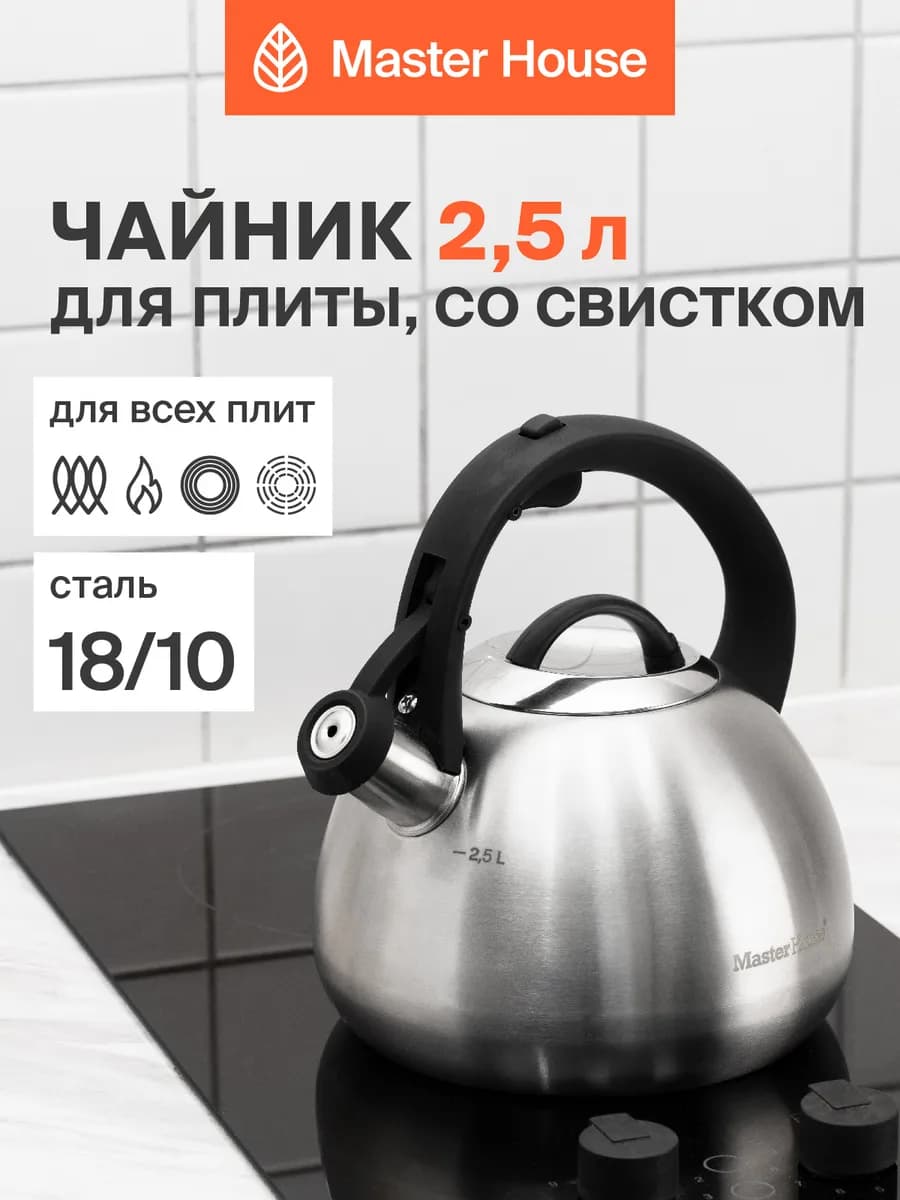 Чайник для плиты со свистком 2,5л