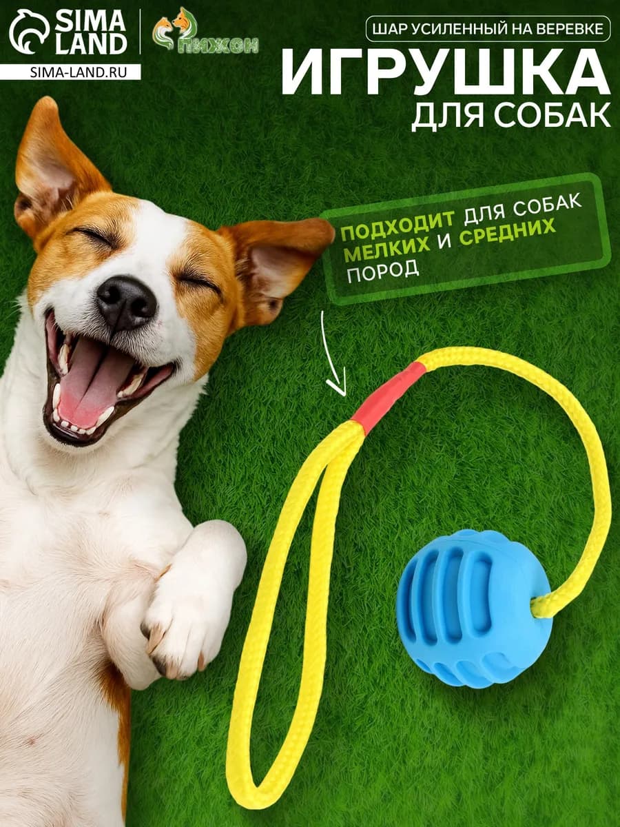 Игрушка Шар на веревке,шар 6 см