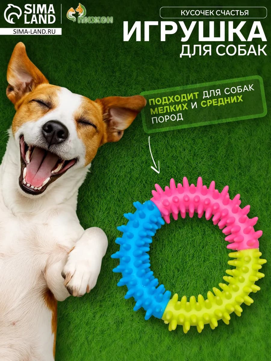 Игрушка для собак кольцо с шипами
