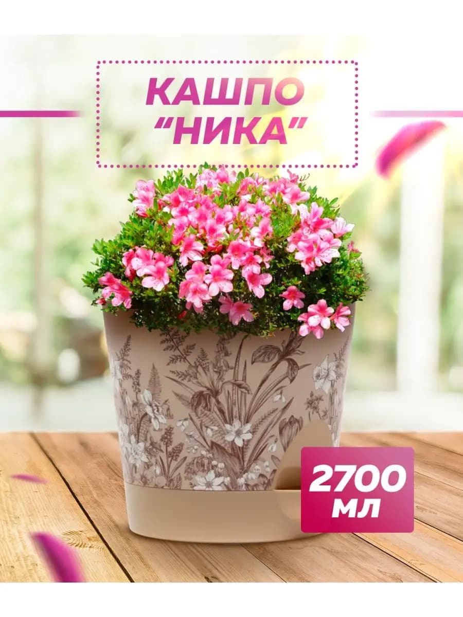 Кашпо горшок ваза для цветов дома выращивать плошка