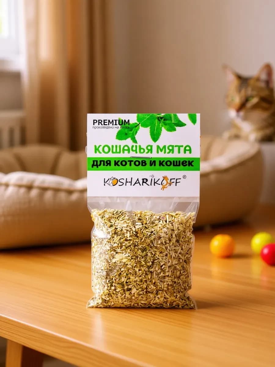 Кошачья мята