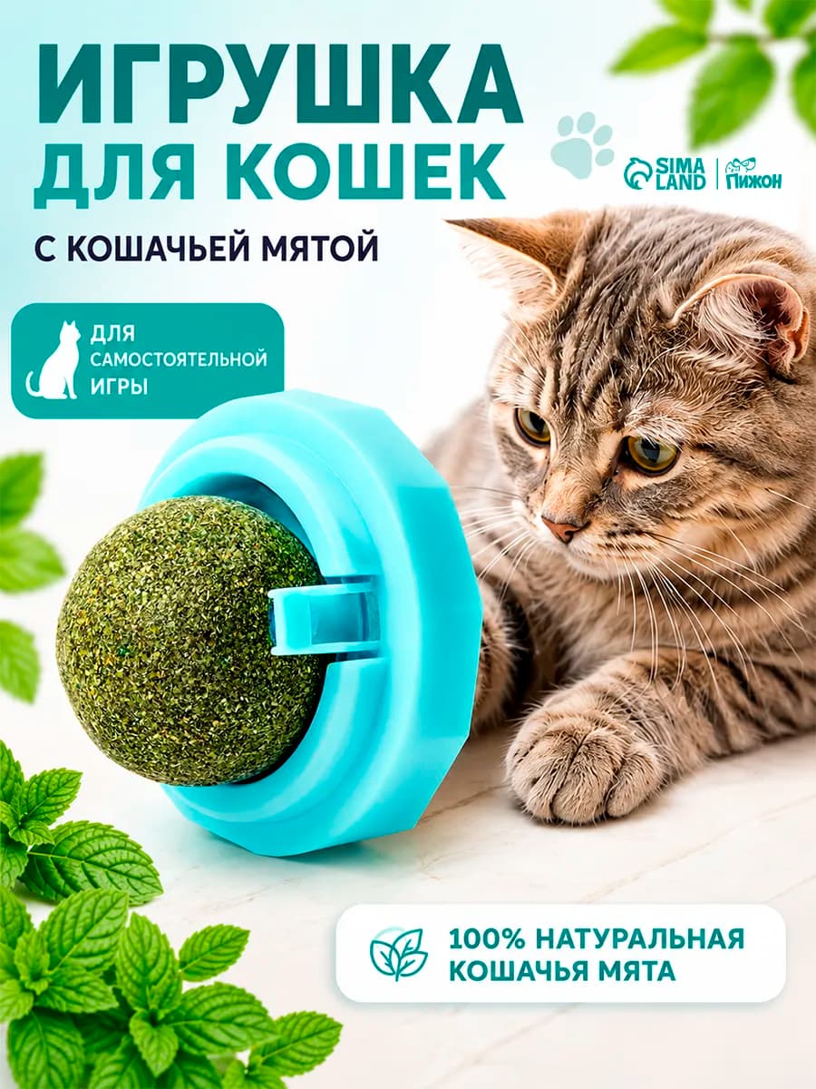 Игрушка для кошек с кошачьей мятой, мататаби леденец