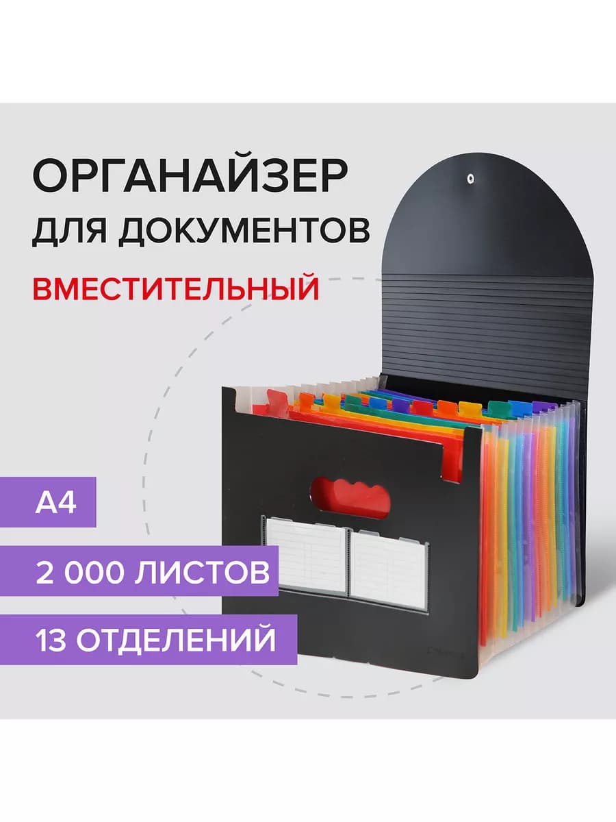 Папка органайзер для рисунков, бумаг и документов