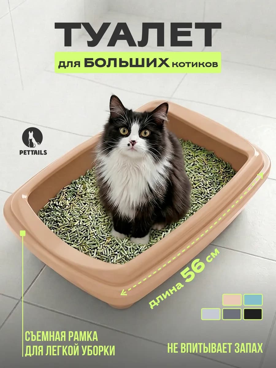 Туалет для кошек, лоток для кошек большой с бортами высокими