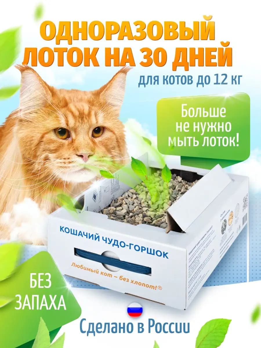 Лоток для кошек большой одноразовый