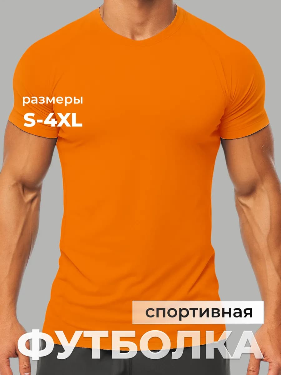 Футболка спортивная для тренировки, dry control Bahin