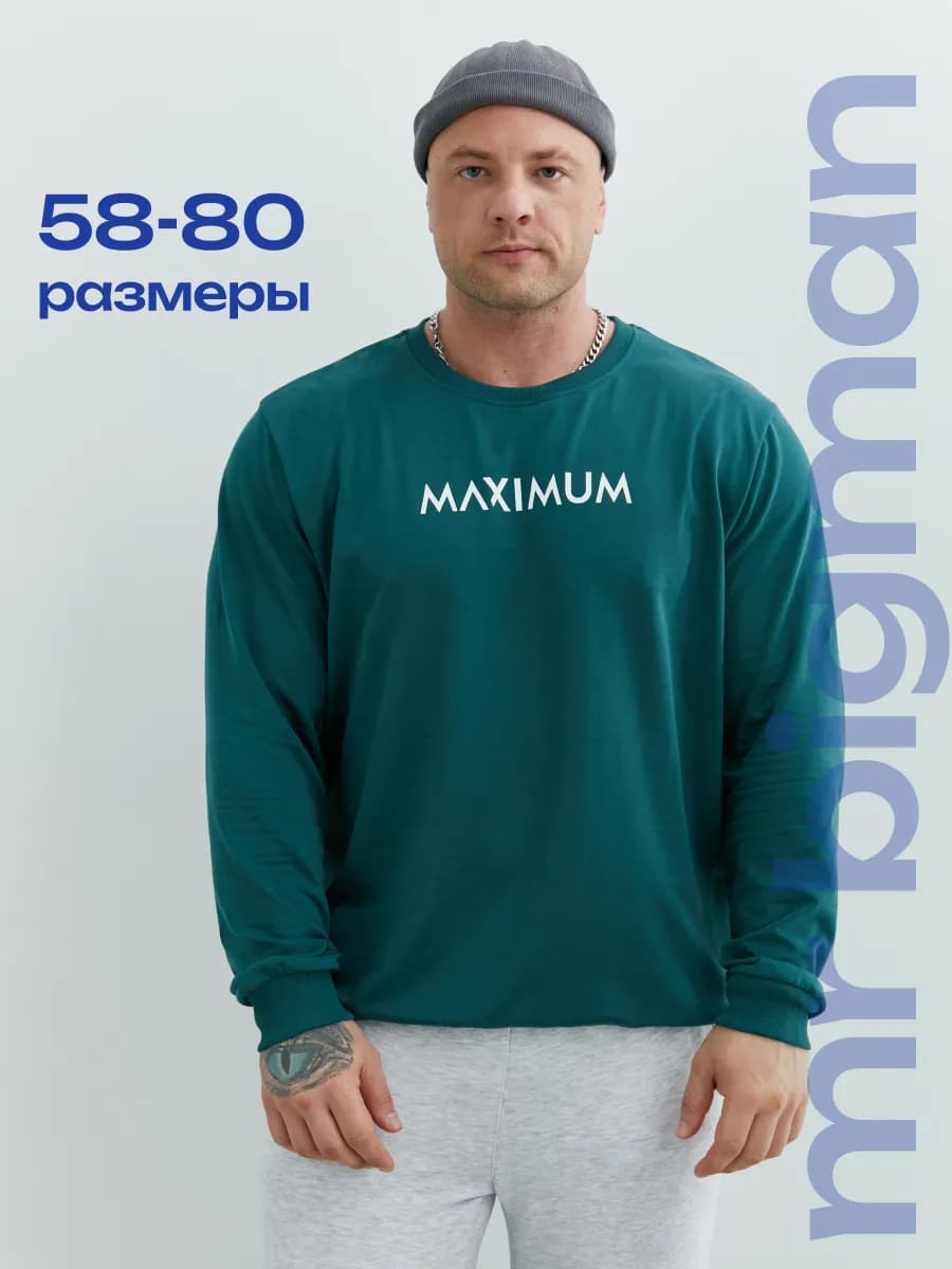 Свитшот мужской большие размеры с принтом