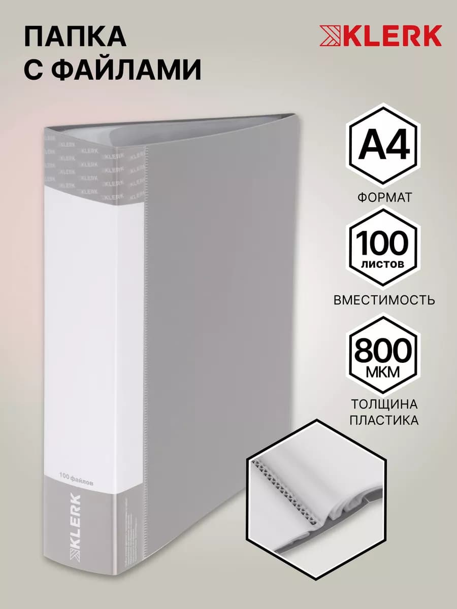 Папка с файлами А4 100 л