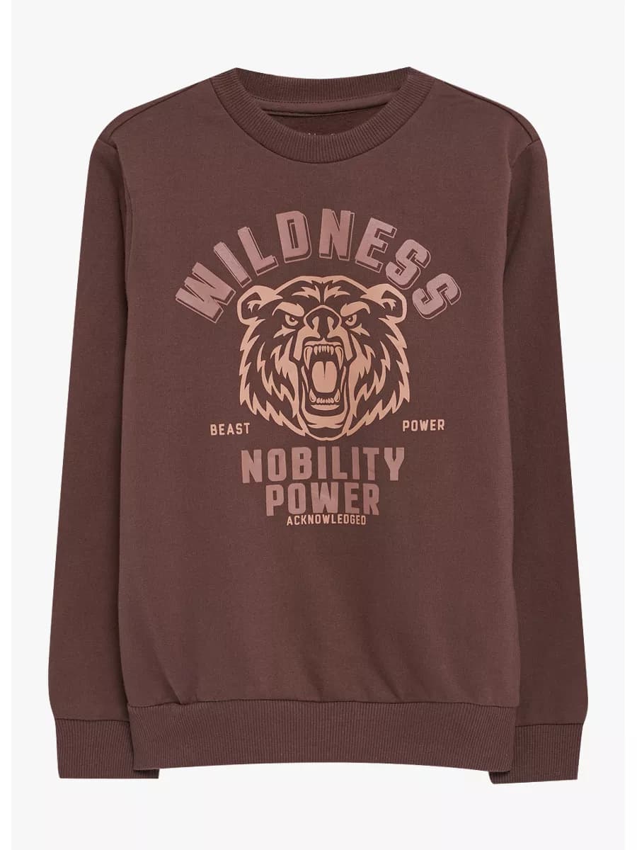 Свитшот подростковый утепленный с принтом