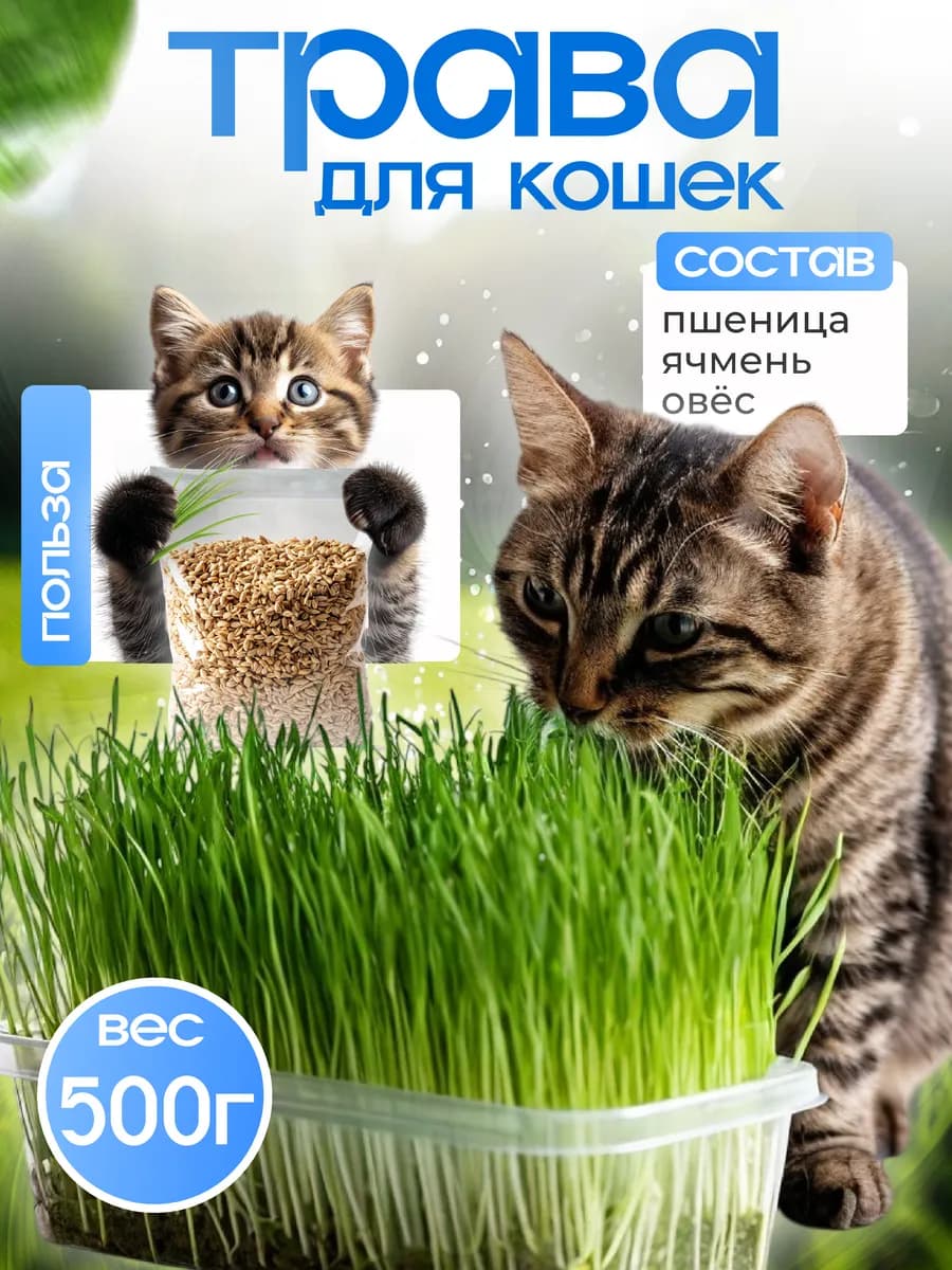Трава для кошек, собак и грызунов для проращивания 500 грамм