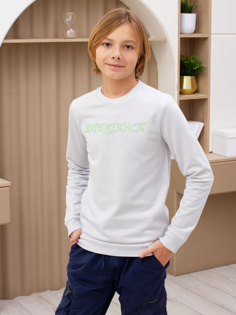 Свитшот для мальчика с начесом толстовка с принтом