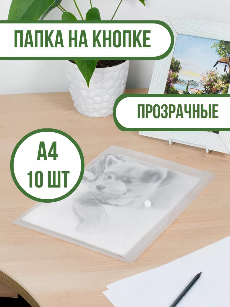 Папка-конверт на кнопке для документов и бумаг А4-10 шт
