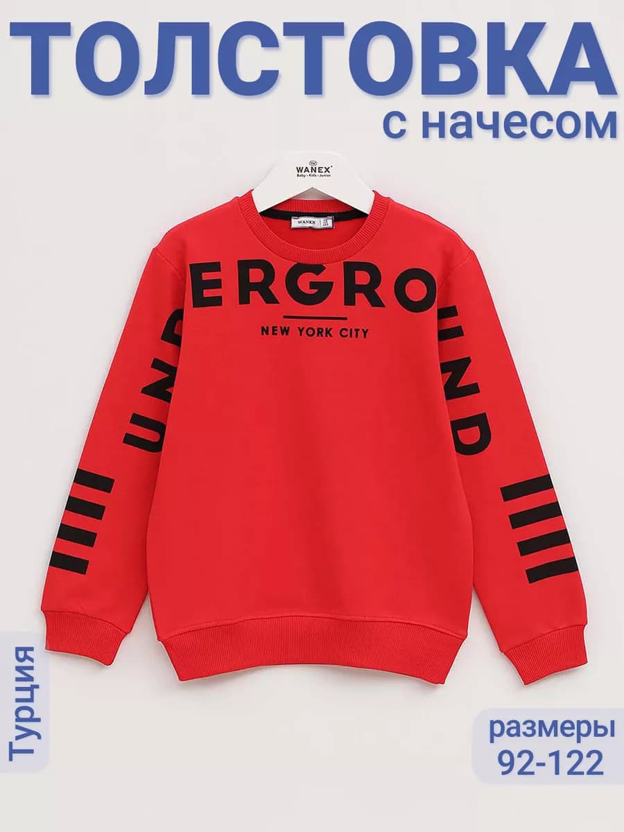 Толстовка с начесом в садик утепленная кофта