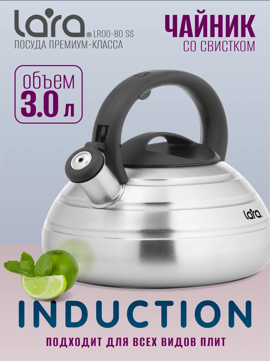 Чайник для плиты со свистком 3 л LR00-80 SS
