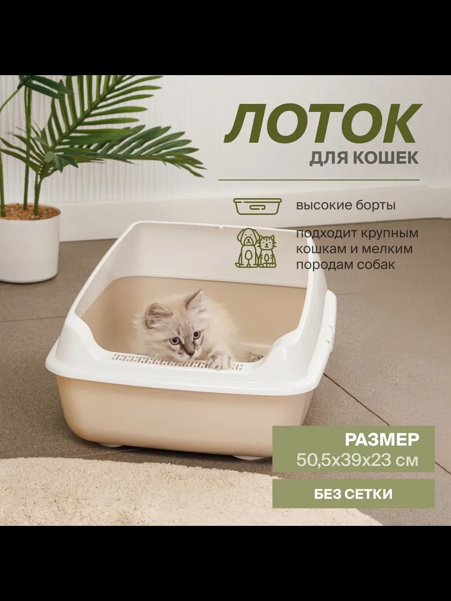 Лоток для кошек
