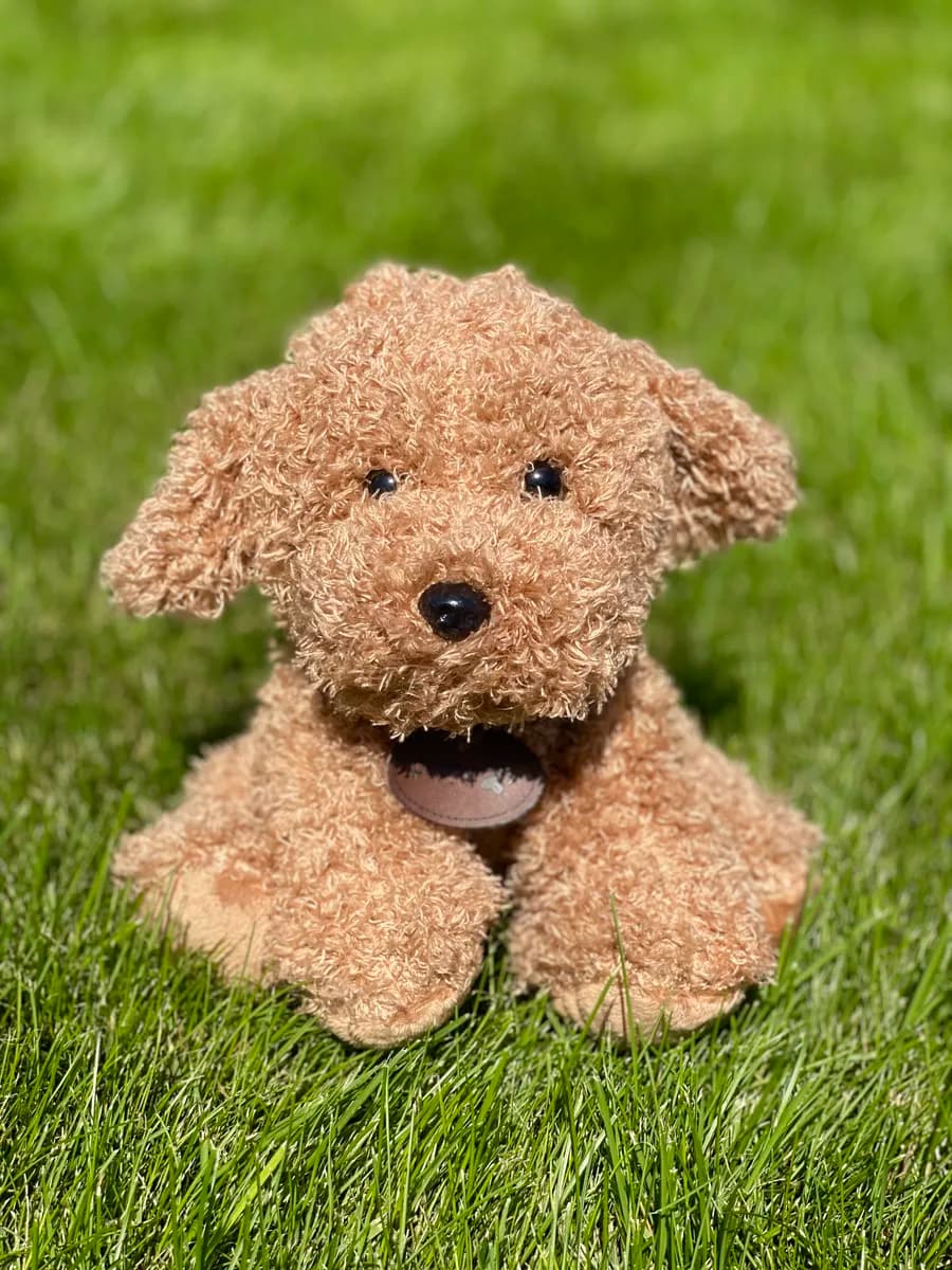 Мягкая игрушка Собака Пудель