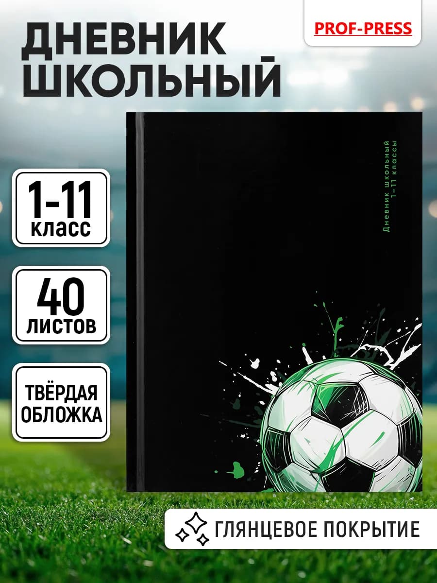 Дневник школьный для мальчика 1-4 и 5-11 класс