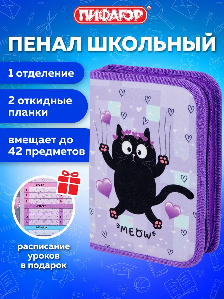 Пенал школьный для девочек для карандашей, ручек 1 отделение