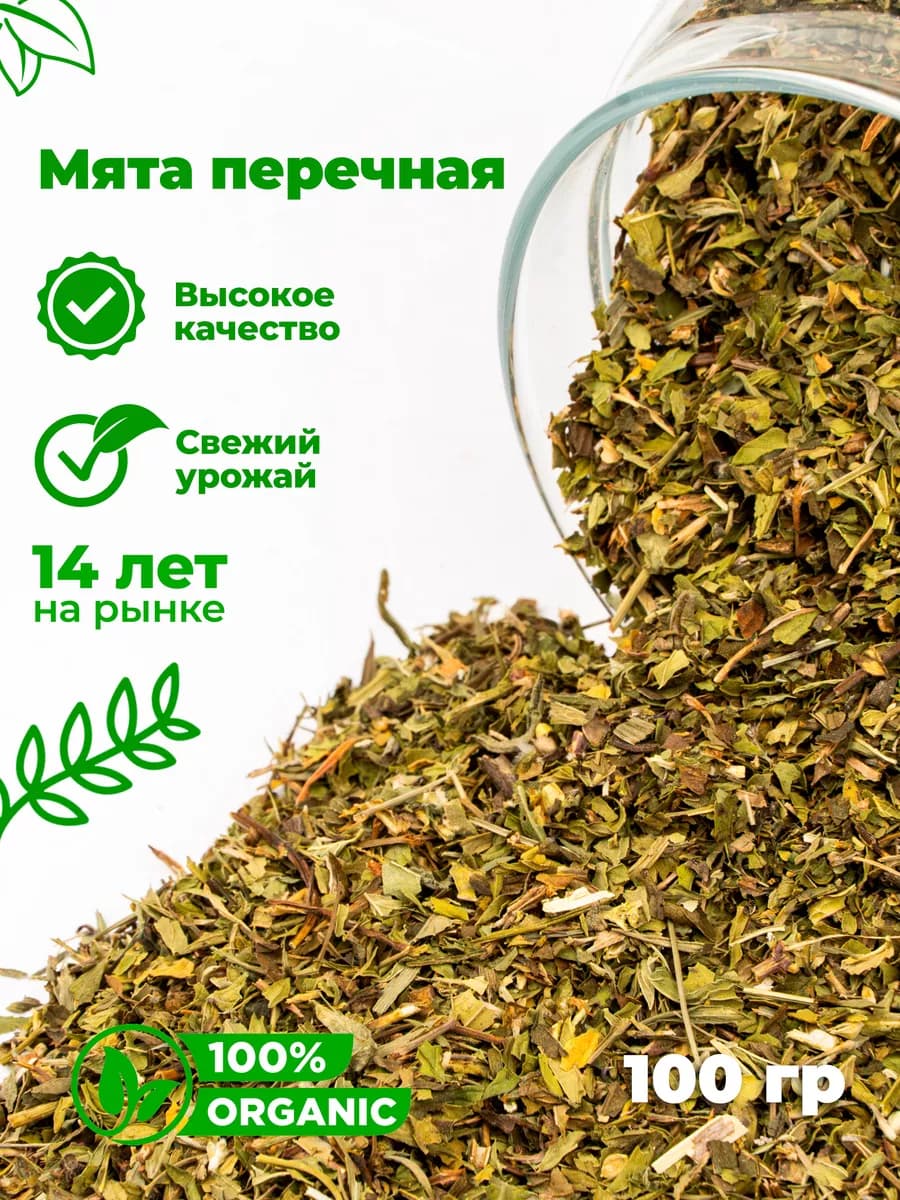 Мята перечная