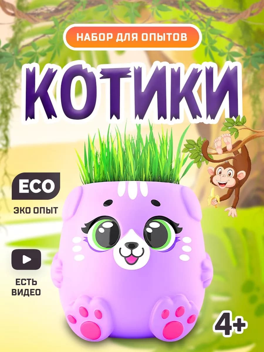 Выращивание растений для детей Котики