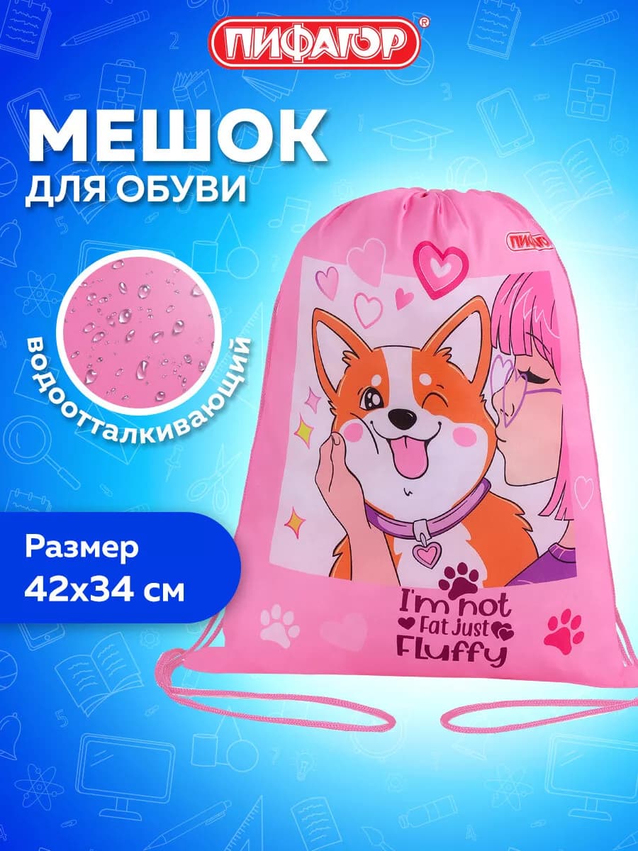 Мешок для обуви, сумка для сменки в школу, чехол плотный