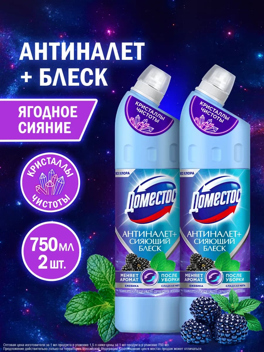 Универсальное чистящее средство для унитаза и ванны 2х750 мл