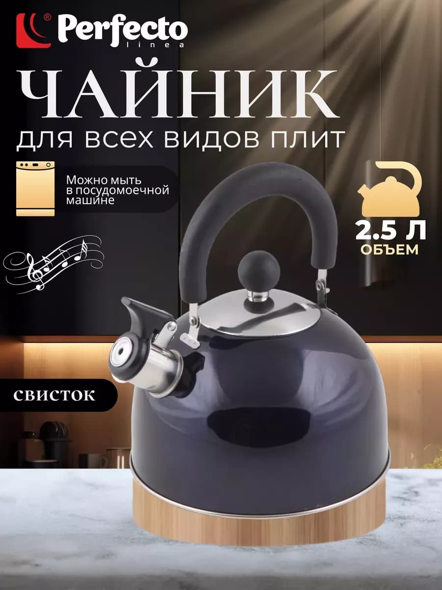 Чайник со свистком для плиты газовой, нержавеющий 2,5 л