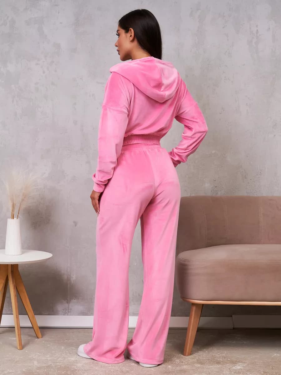 Костюм велюровый спортивный с капюшоном двойка