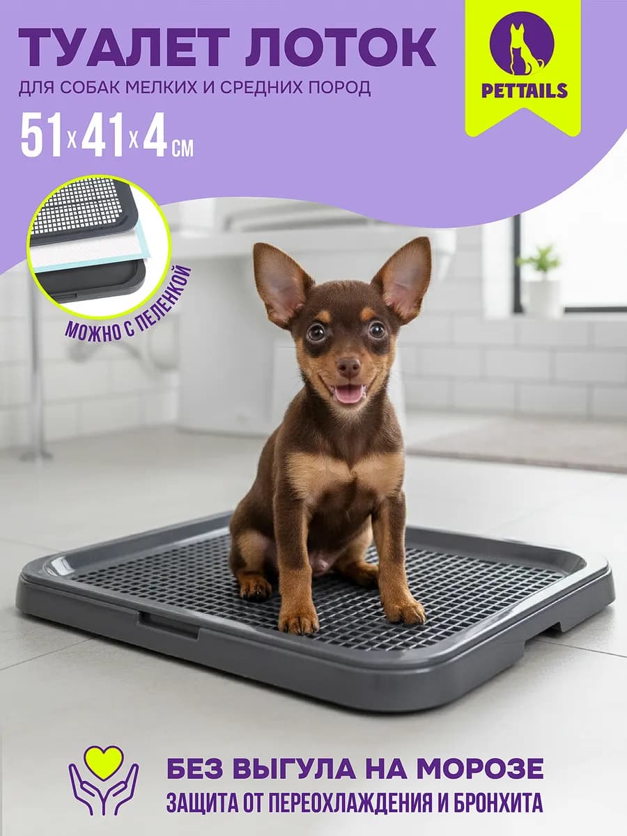 Туалет лоток для собак с сеткой под пеленку 51*41*4см