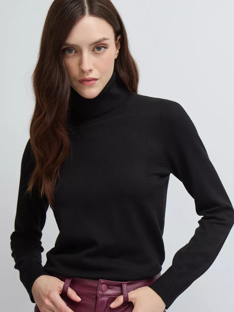 Джемпер с горлом Водолазка