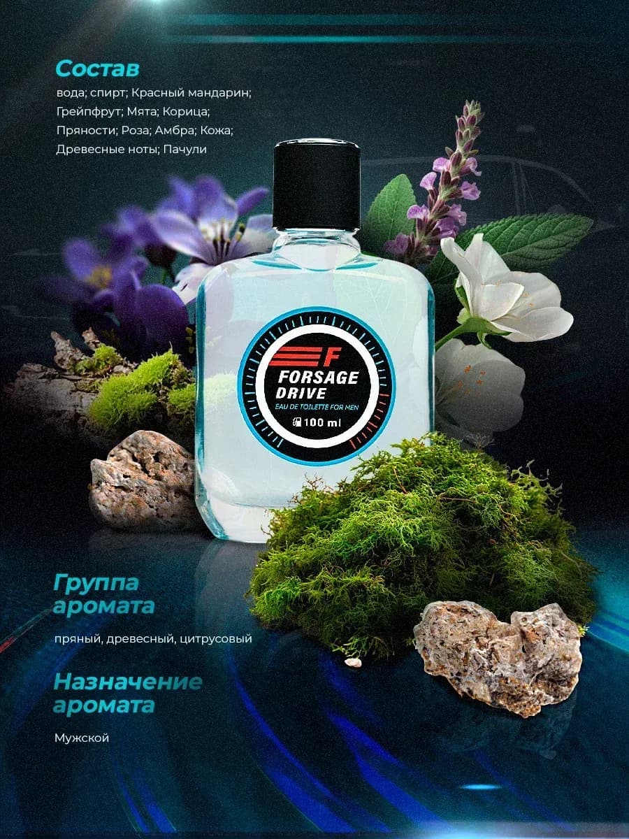 Духи мужские стойкие свежие морские FORSAGE DRIVE 100мл