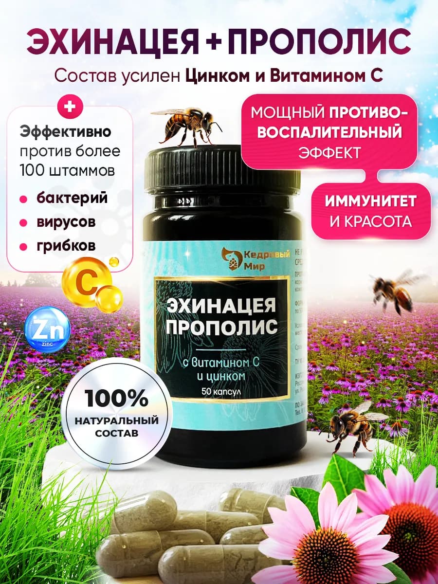 Витамины эхинацея и прополис для иммунитета
