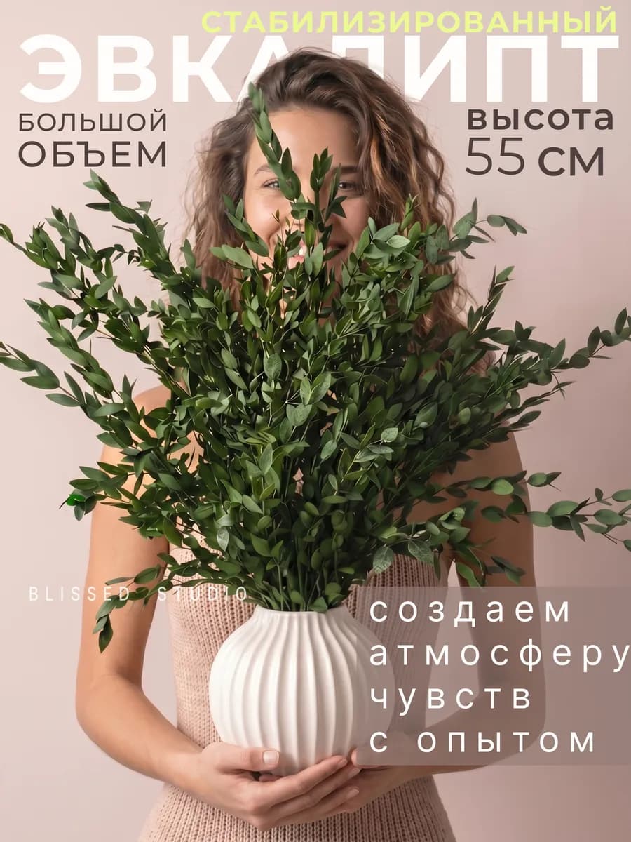 Эвкалипт стабилизированный натуральный сухоцветы для декора