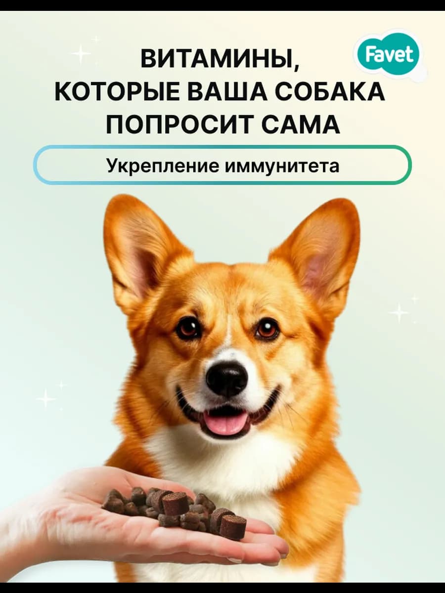 Лакомство FerrumActive Soft Chews для иммунитета собак