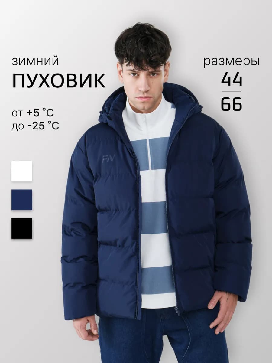 Пуховик зимний с капюшоном Куртка короткая