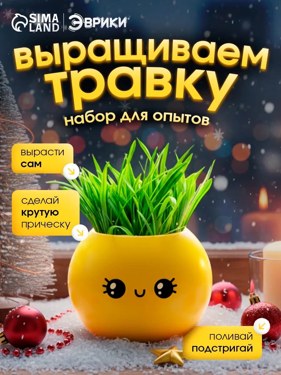Набор для опытов выращиваем траву в горшочке Смайл милый