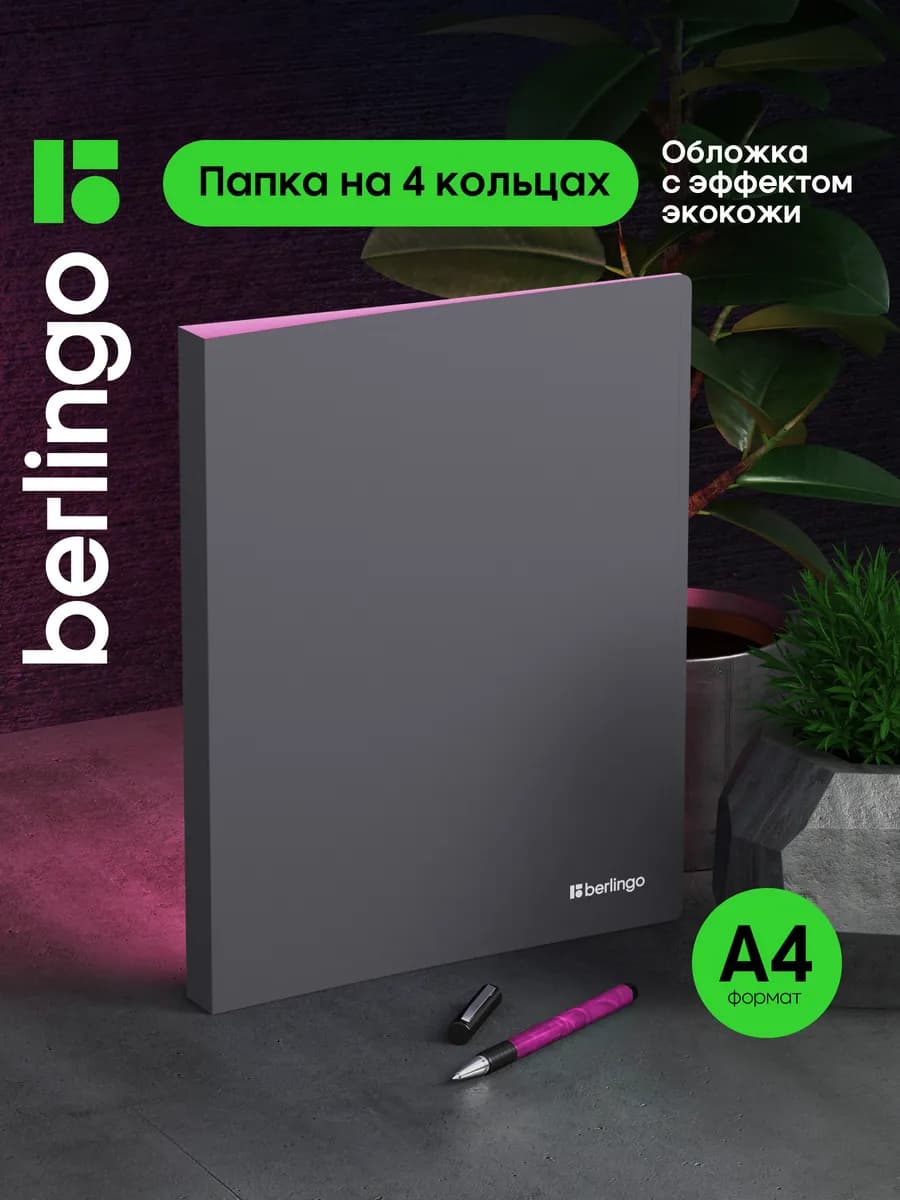 Папка на кольцах для документов и файлов, А4