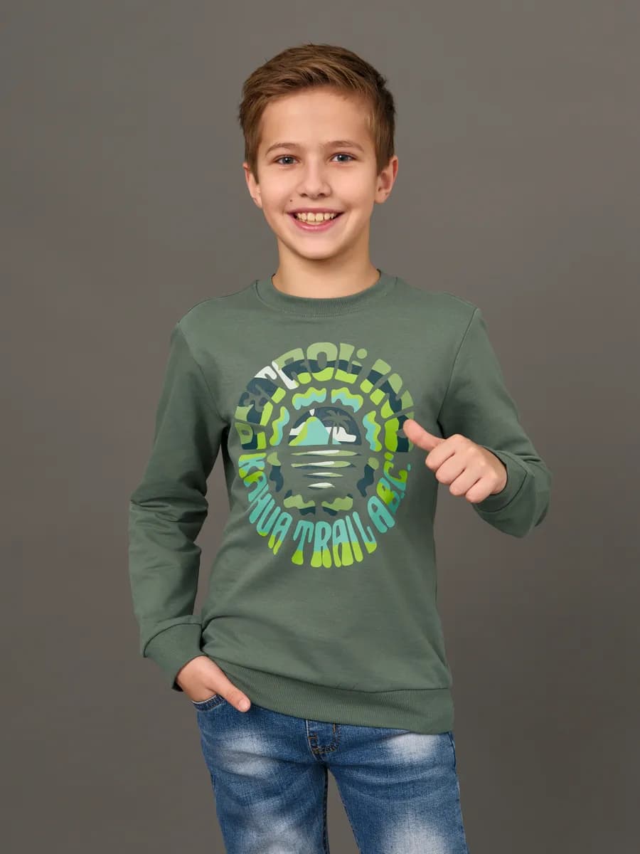 Толстовка свитшот без начеса с принтом