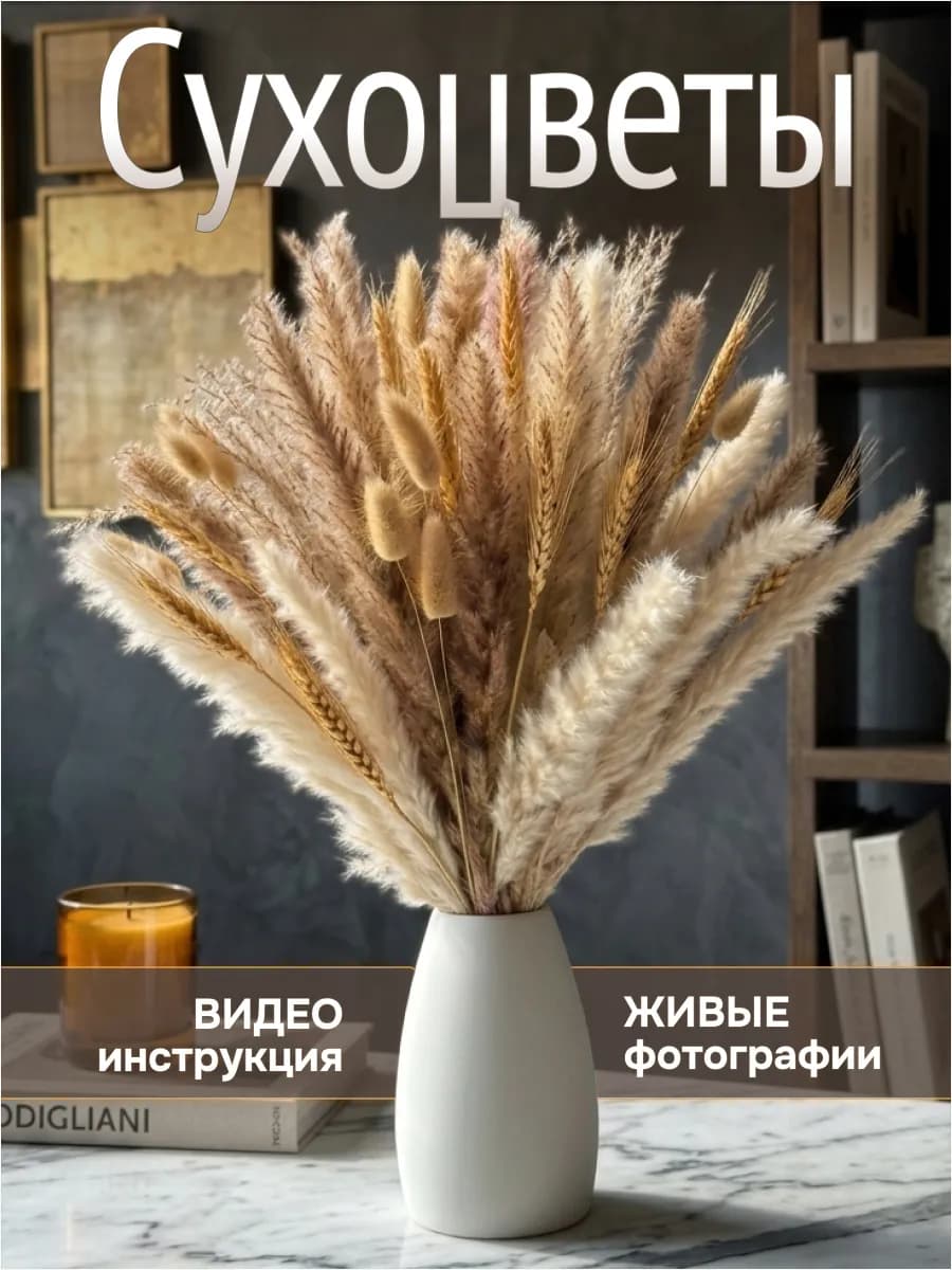 Сухоцветы для декора, букет для интерьера натуральный сухой