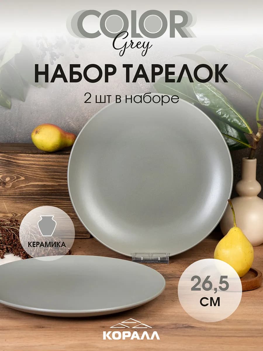 Тарелки набор 2шт 26.5см обеденные Color grey