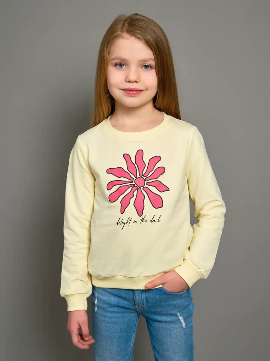 Толстовка свитшот без начеса с принтом