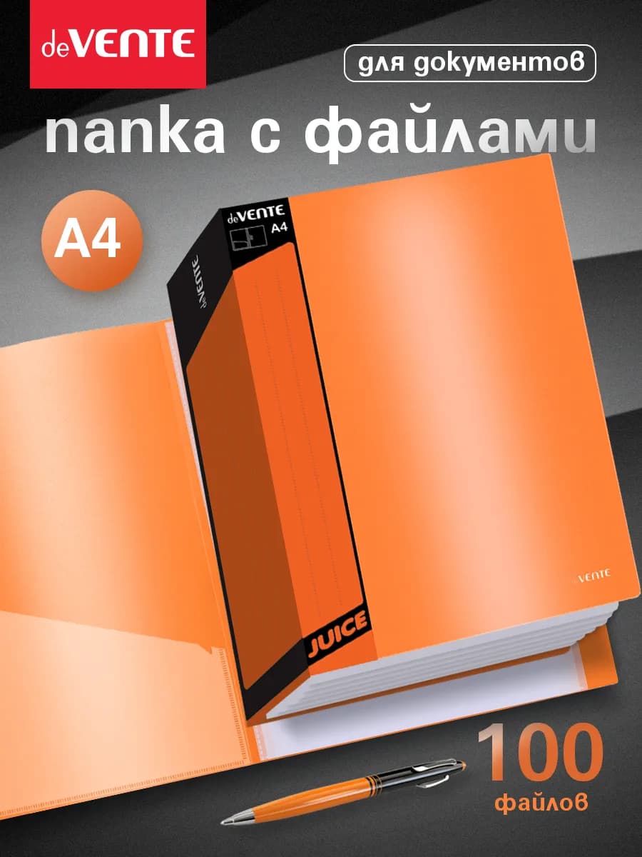 Папка с файлами A4 100 вкладышей органайзер для документов