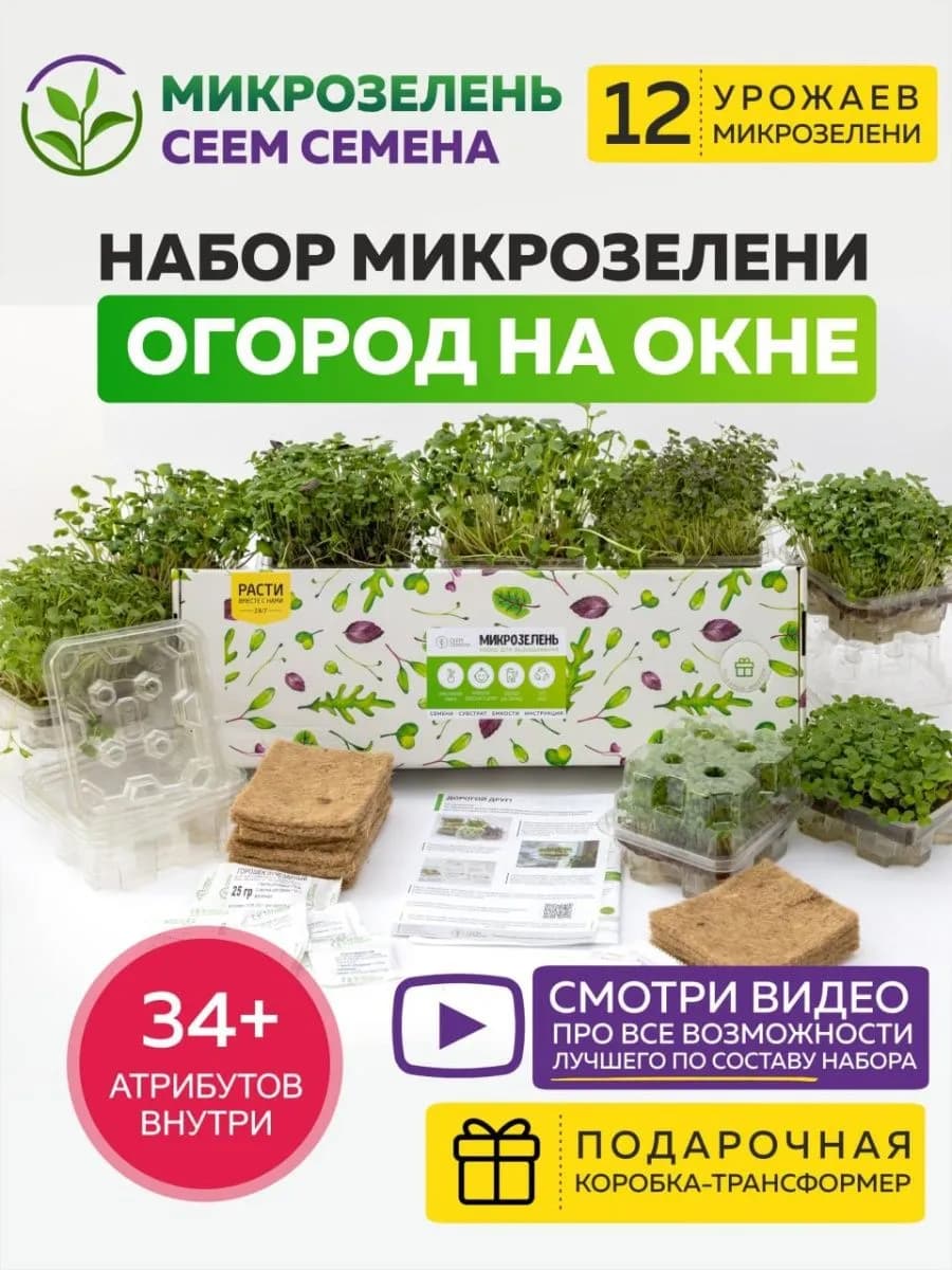 Подарочный набор для выращивания микрозелени - фото 1