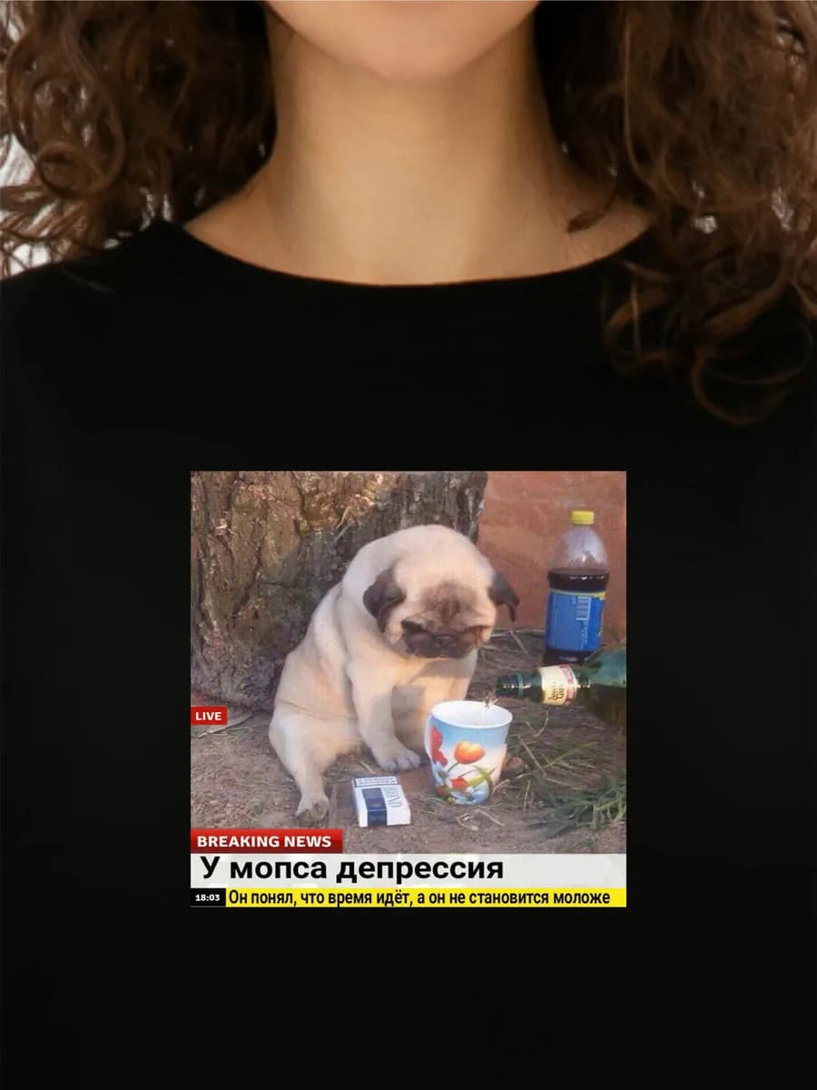Футболка мем с мопсом принт прикол
