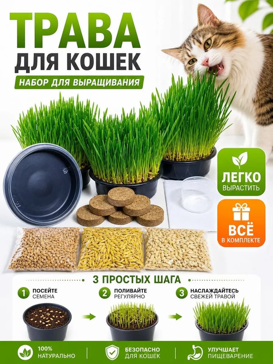 Трава для кошек, набор для выращивания