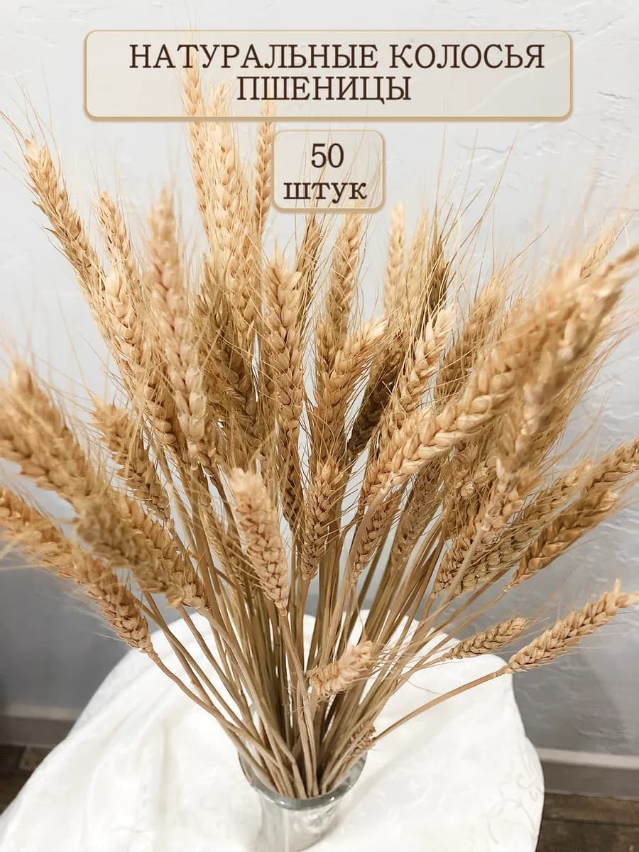 Сухоцветы для декора натуральные колосья пшеницы 50 шт