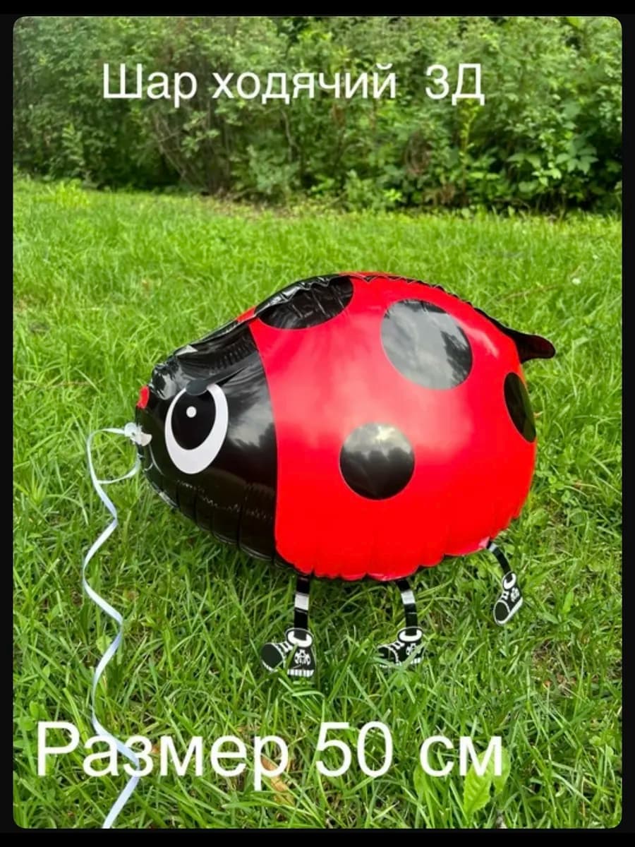 Шар божья коровка