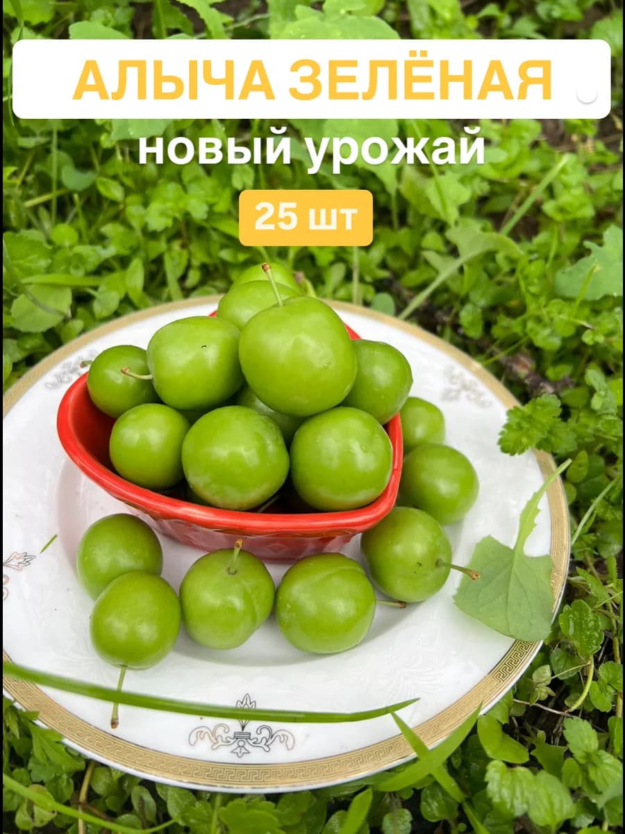 Алыча зеленая