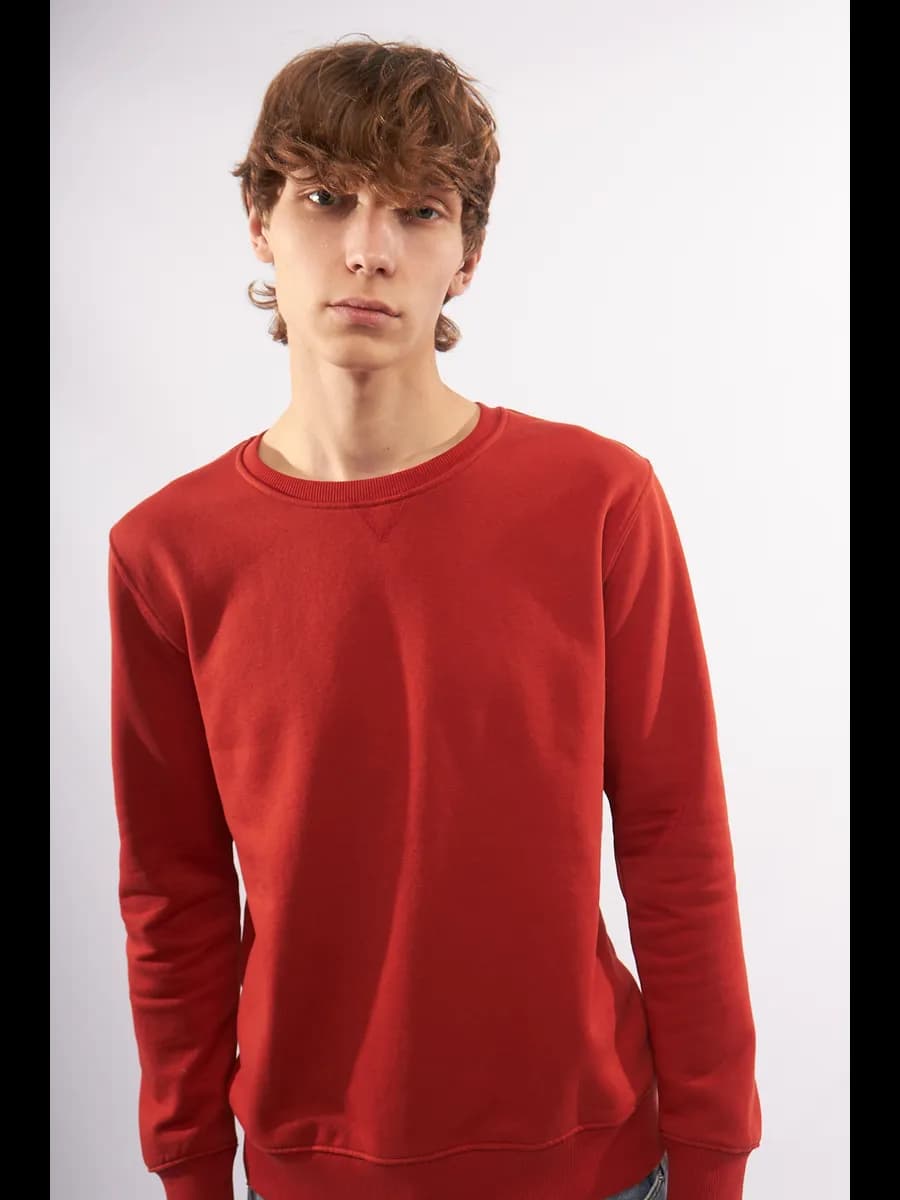 Толстовка свитшот базовый полуприлегающий