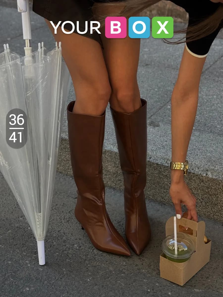 Демисезонные сапоги на шпильке